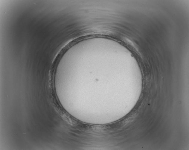 X0000070170875200606231918