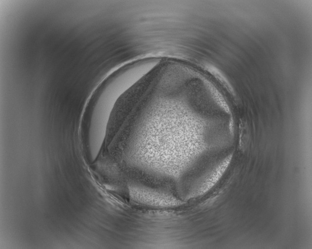 X0000070170876200606231918