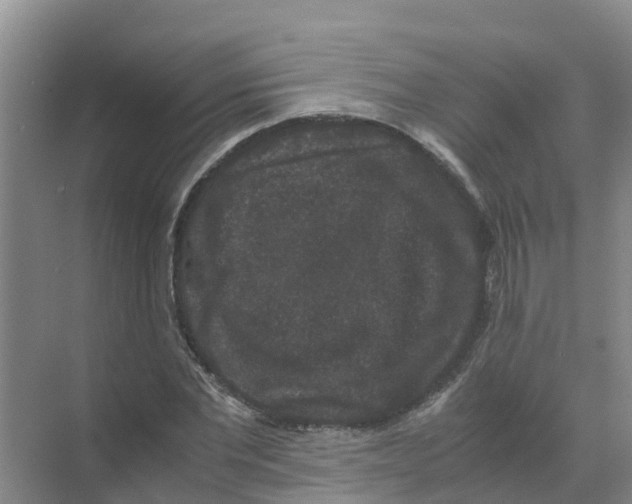 X0000070170877200606231918