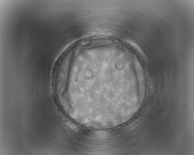 X0000070170878200606231918