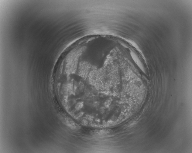 X0000070170879200606231918