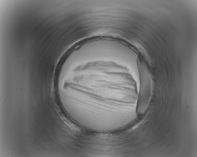 X0000070170880200606231918