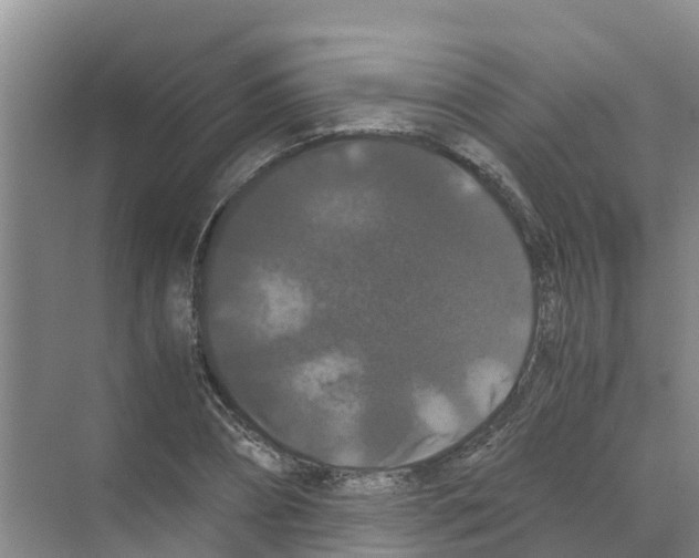 X0000070170882200606231918