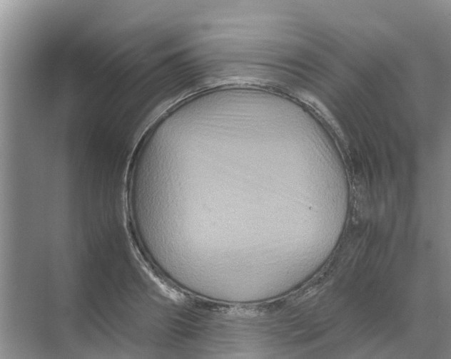 X0000070170890200606231918