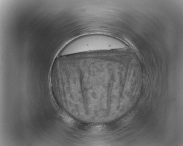 X0000070170891200606231918