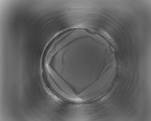 X0000070170892200606231918