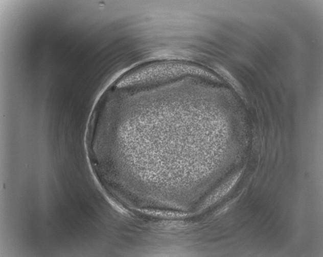 X0000070170893200606231918