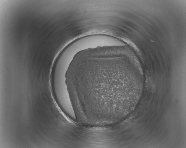 X0000070170894200606231918