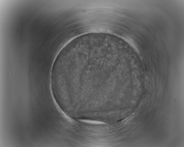 X0000070170895200606231918