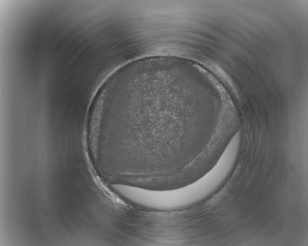 X0000070170896200606231918