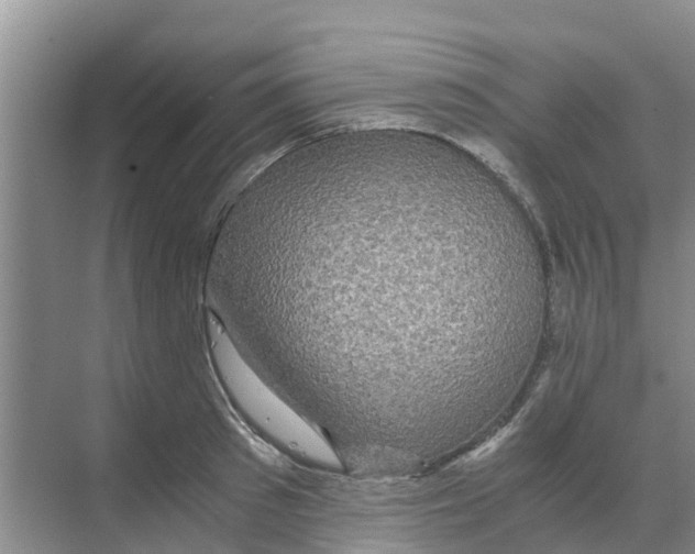 X0000070170897200606231918