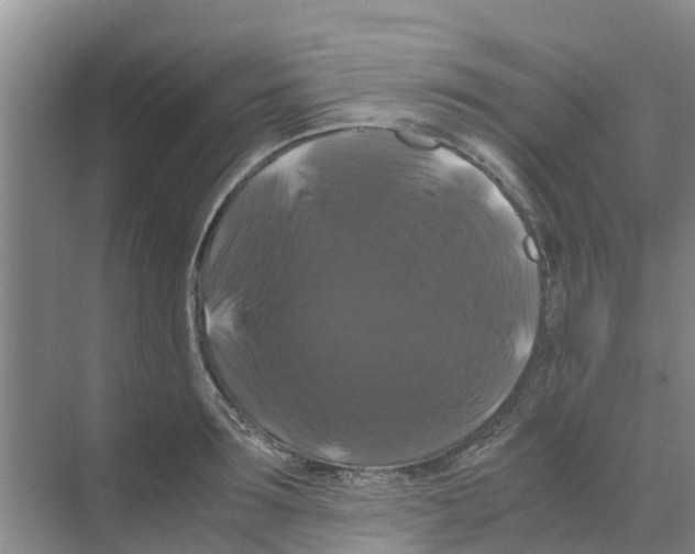 X0000070170899200606231918