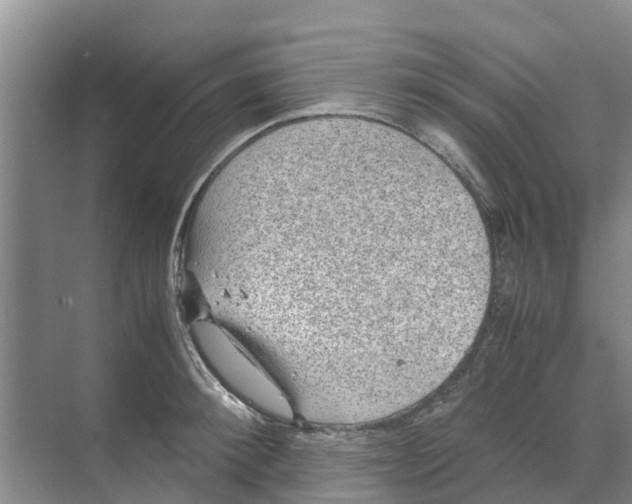 X0000070170900200606231918