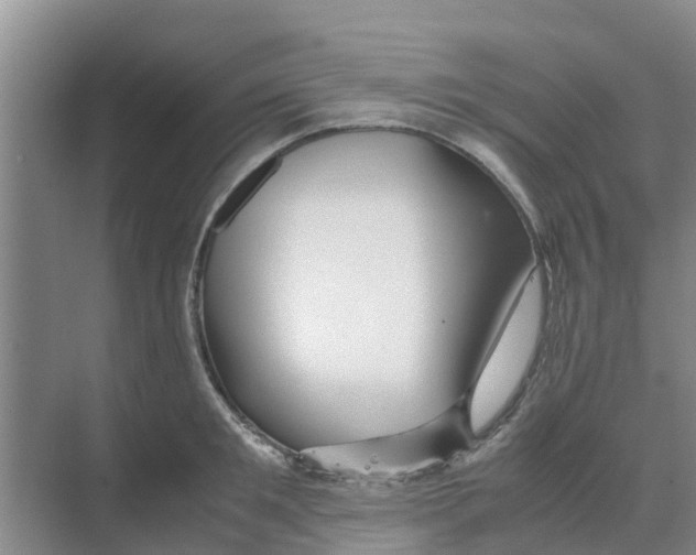 X0000070170901200606231918