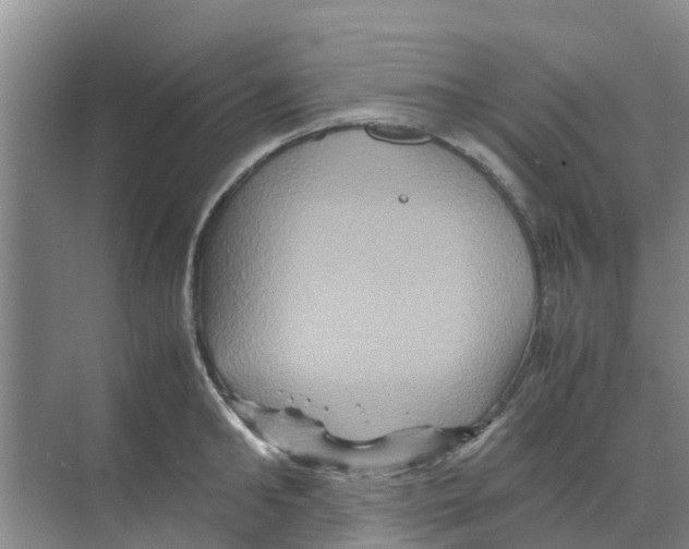 X0000070170902200606231918