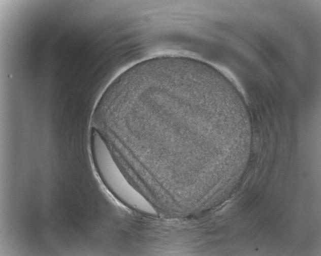 X0000070170903200606231918