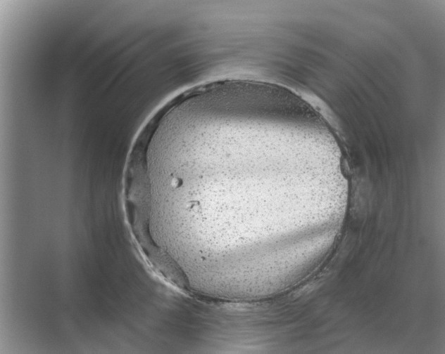 X0000070170904200606231918