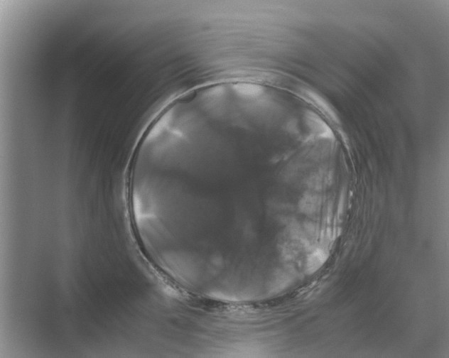 X0000070170907200606231918