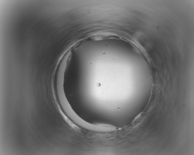 X0000070170909200606231917