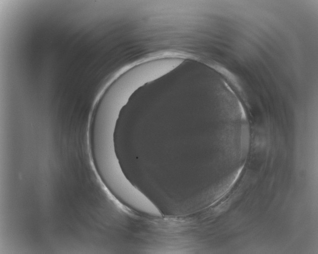 X0000070170910200606231917