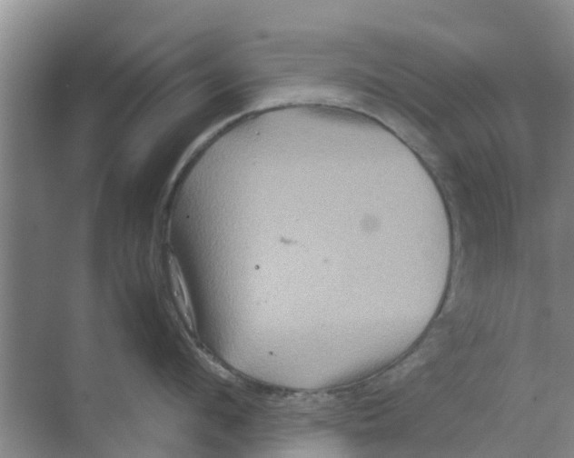 X0000070170912200606231917