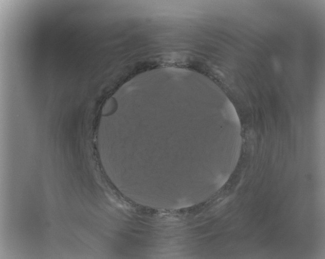 X0000070170913200606231917