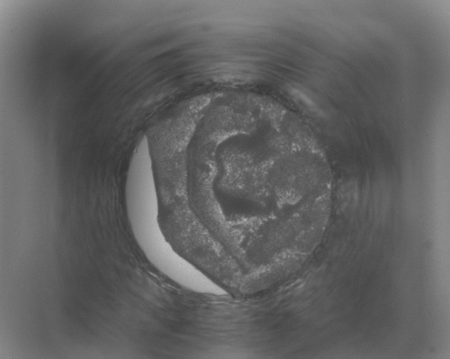 X0000070170917200606231917