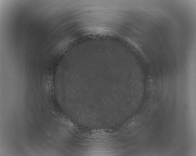 X0000070170918200606231917