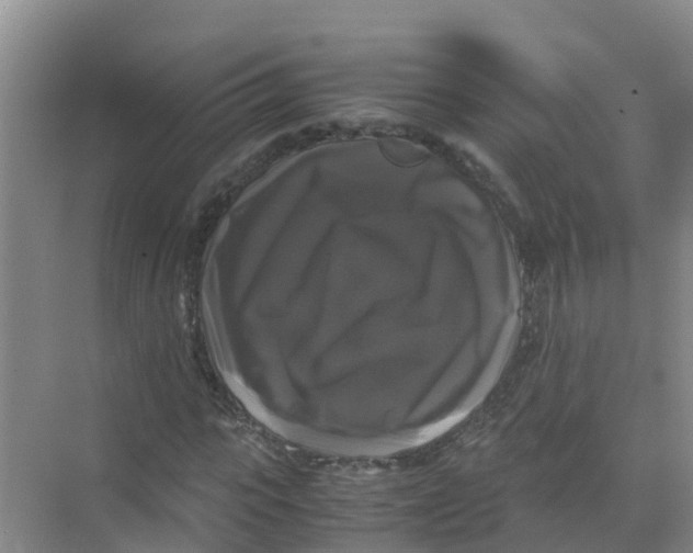 X0000070170919200606231917