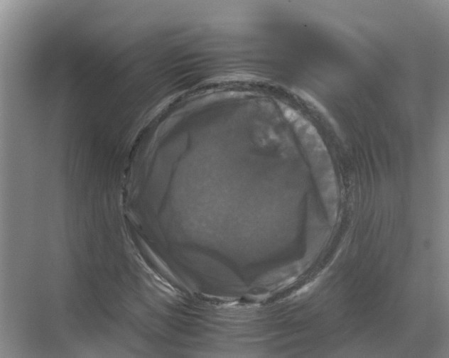 X0000070170921200606231917