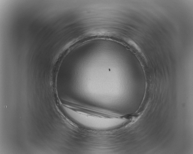 X0000070170922200606231917