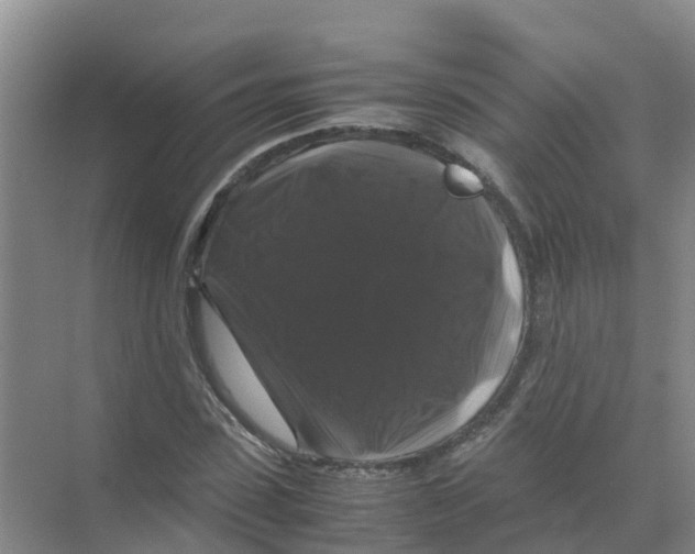 X0000070170923200606231917