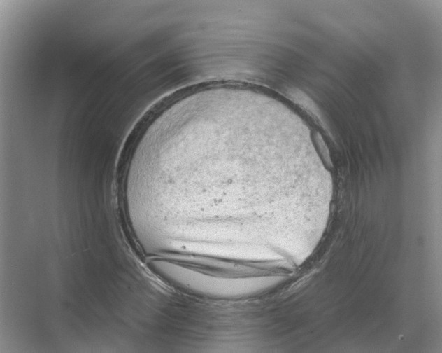 X0000070170924200606231917