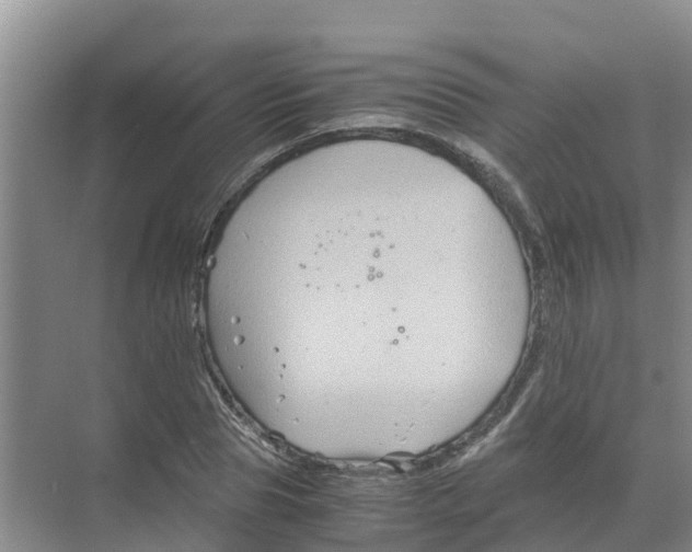 X0000070170929200606231917