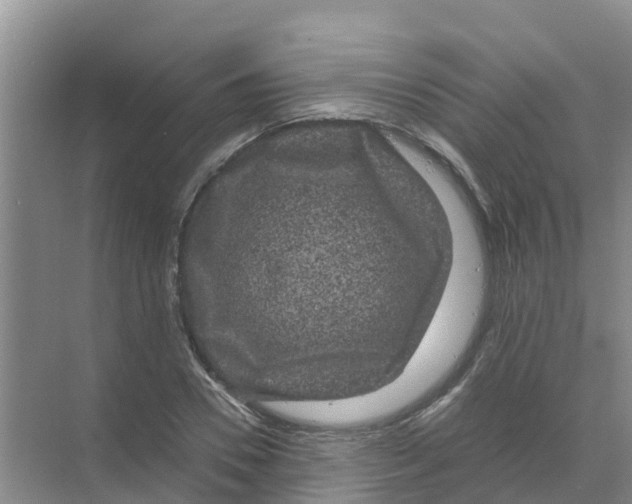 X0000070170930200606231917