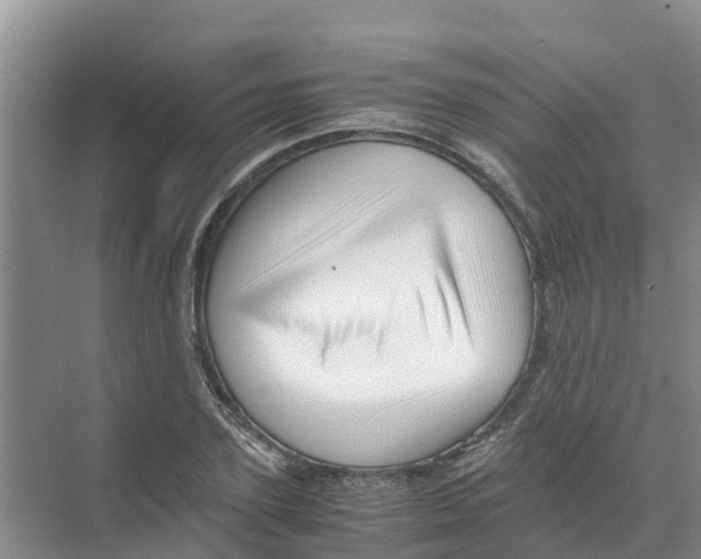 X0000070170931200606231917