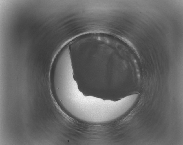 X0000070170935200606231917