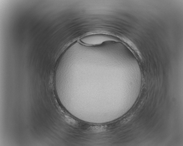 X0000070170937200606231917