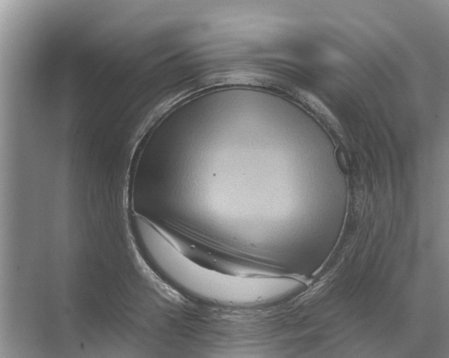 X0000070170938200606231917