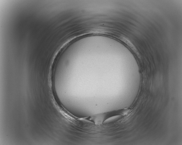 X0000070170939200606231917