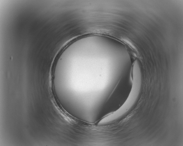 X0000070170940200606231917