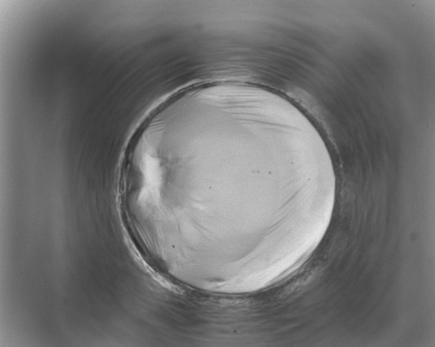 X0000070170941200606231917