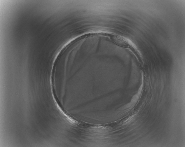 X0000070170943200606231917