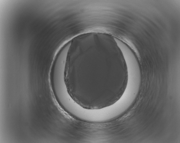 X0000070170944200606231917