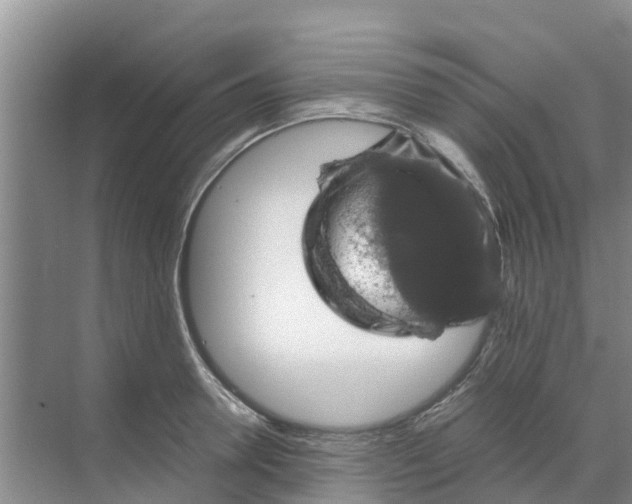 X0000070170946200606231917