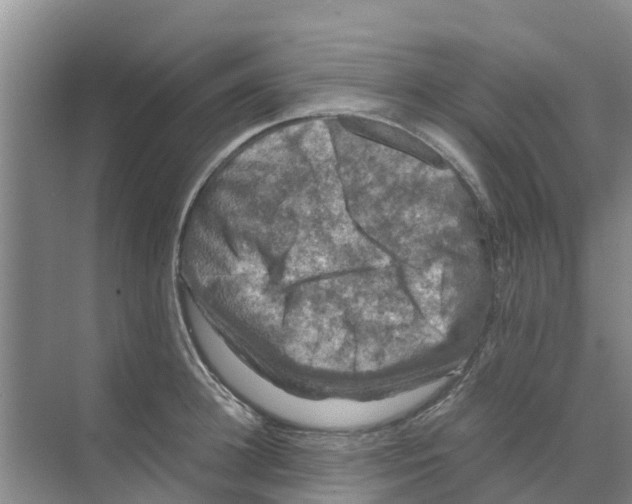 X0000070170948200606231917