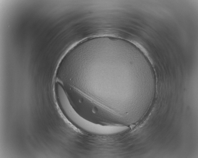 X0000070170949200606231917