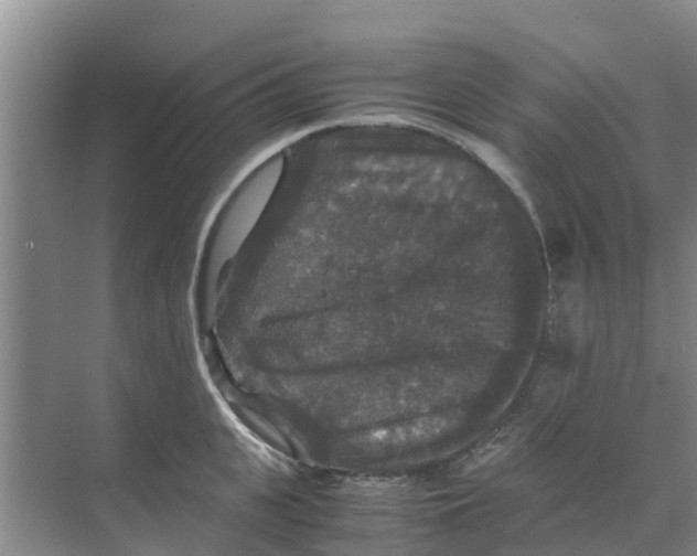 X0000070170951200606231917