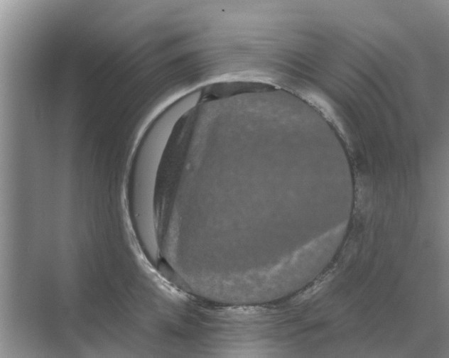 X0000070170952200606231917