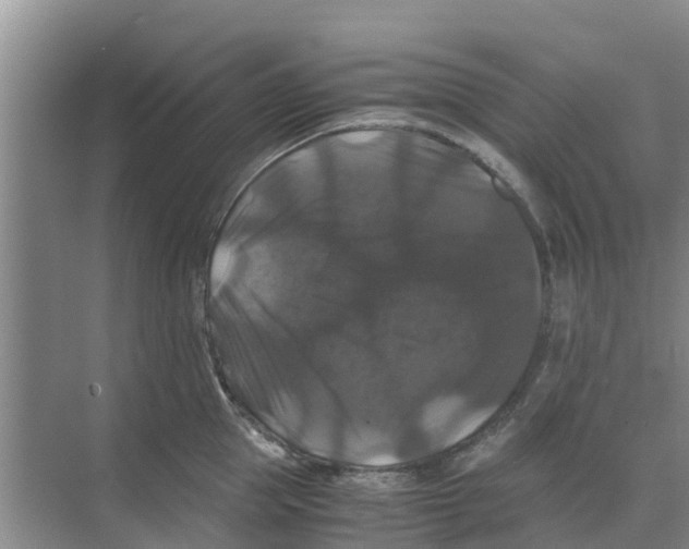 X0000070170953200606231917